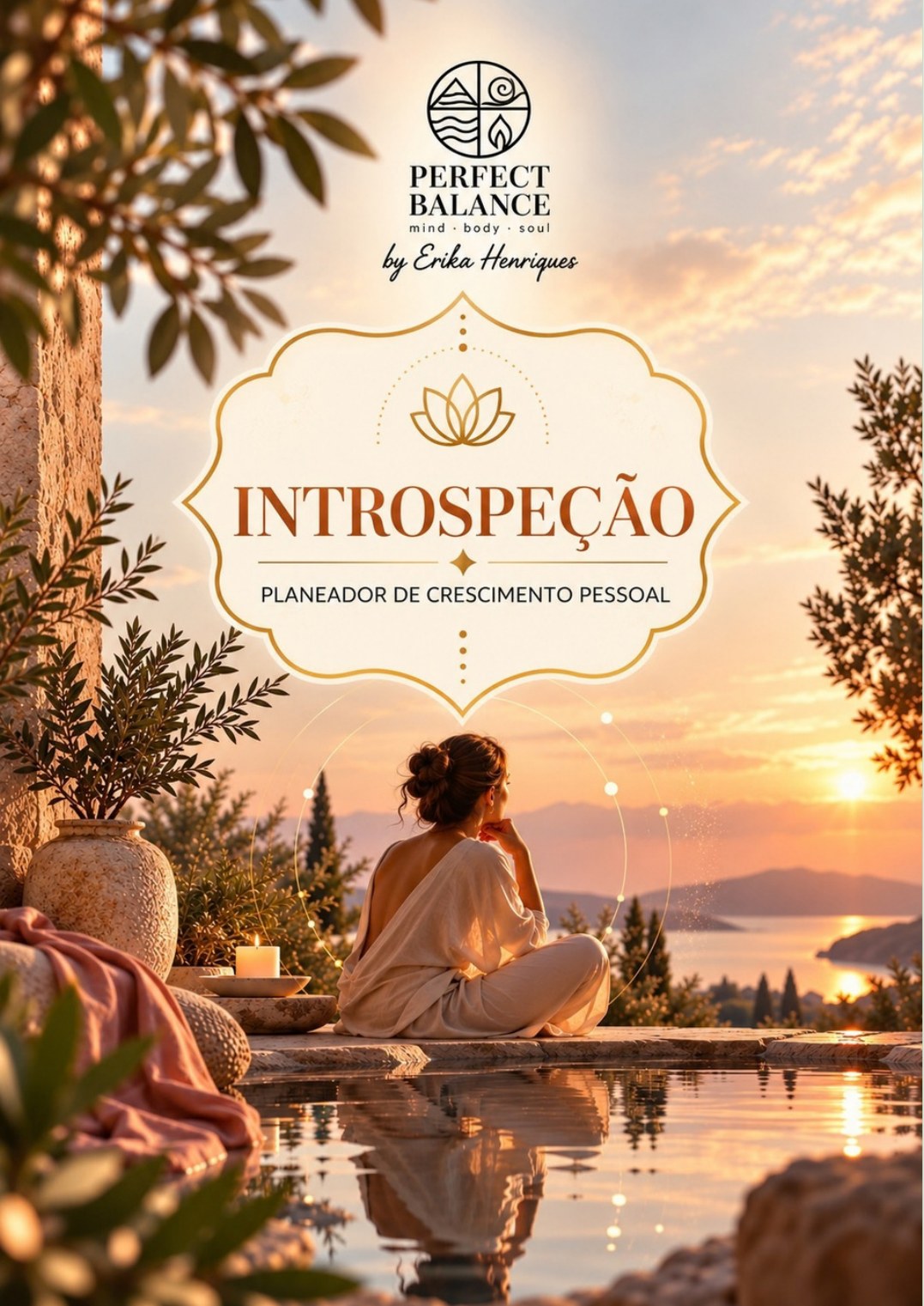 Capa Introspeção